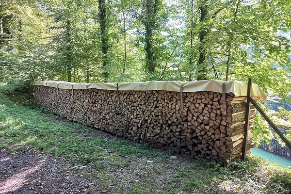 Hickory, Oak, Mesquite, or Fruit Wood? A Backyard Guide to Choosing Your Smoke